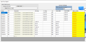 Cash flow report