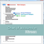 Chart of accounts in iGreen software